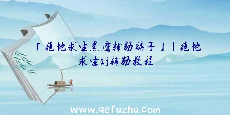 「绝地求生黑鹰辅助骗子」|绝地求生aj辅助教程
